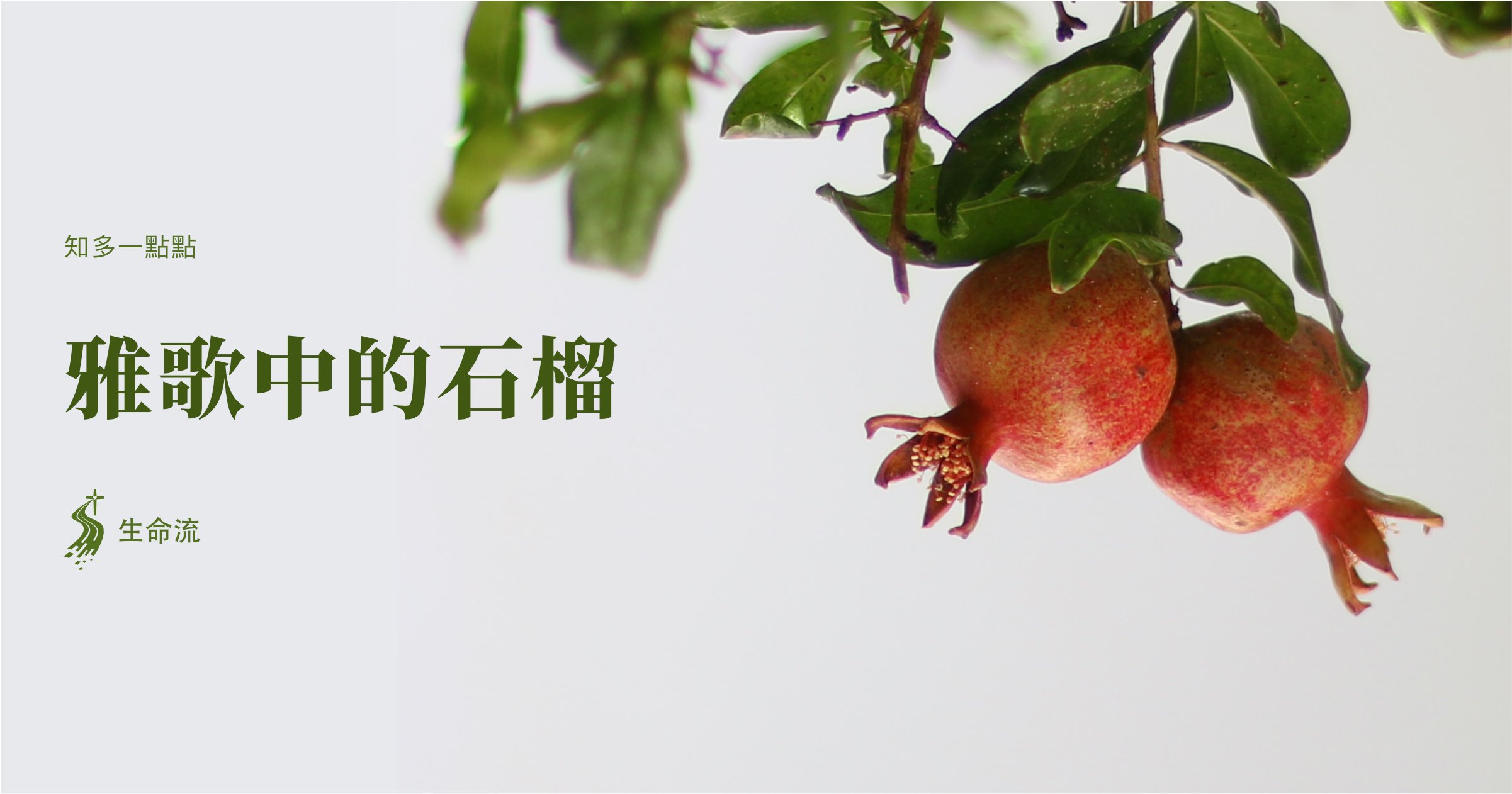 雅歌中的石榴– 生命流出版社有限公司