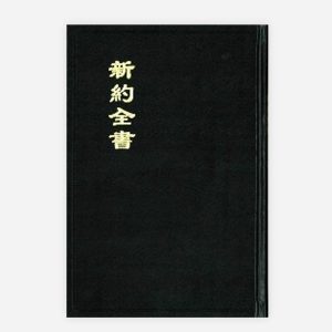 和合本大字新約全書（神版）